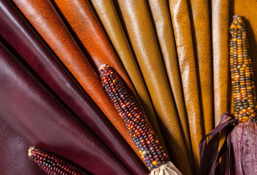 Design a Custom Leather with Jamie Stern